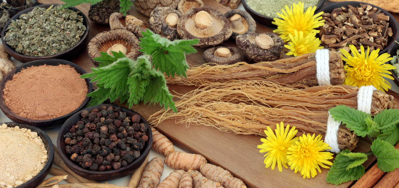 Les meilleures plantes anti-stress