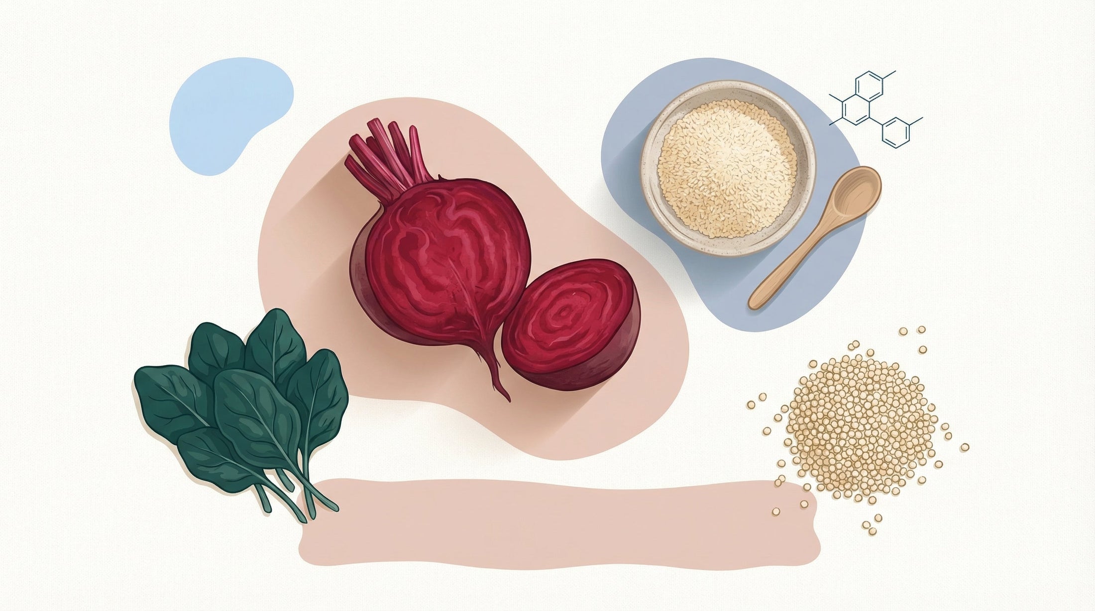 Bétaïne et grossesse : rôle, sources alimentaires et complémentation
