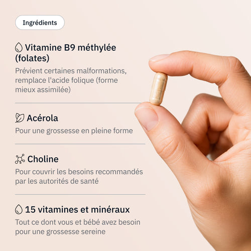 9 mois - Ingrédients - Hollis