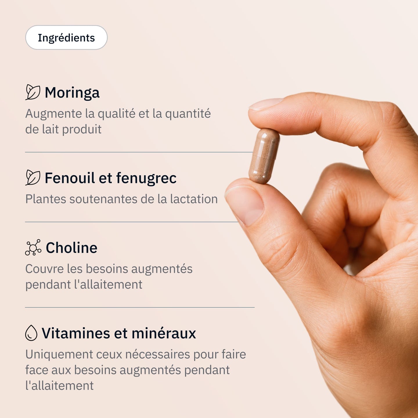 Allaitement - Ingrédients - Hollis