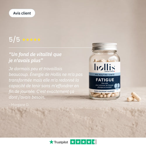 Fatigue - Avis - Hollis