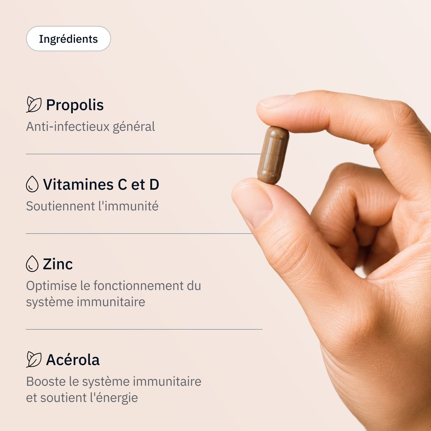 Immunité - Ingrédients - Hollis