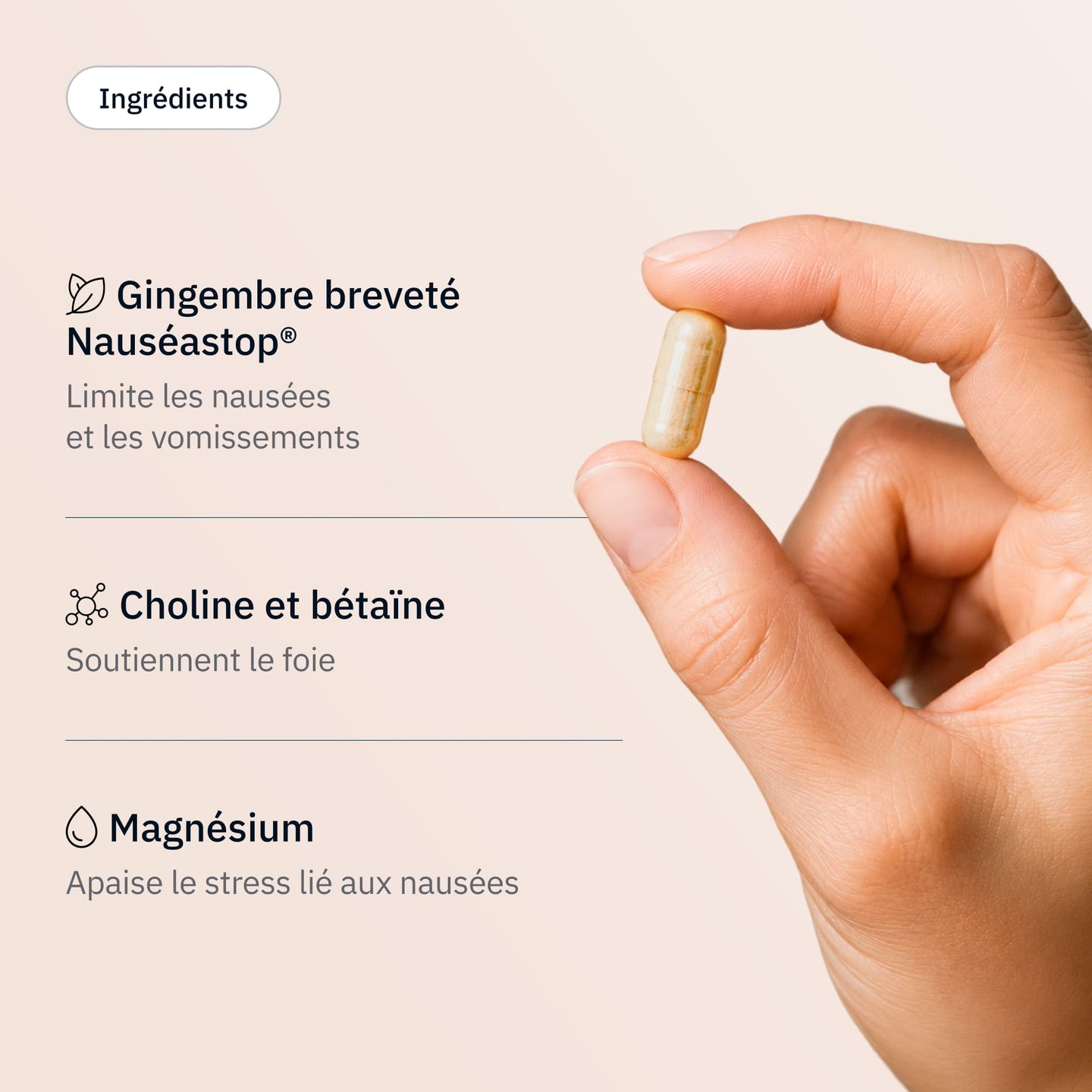 Nausées - Ingrédients - Hollis