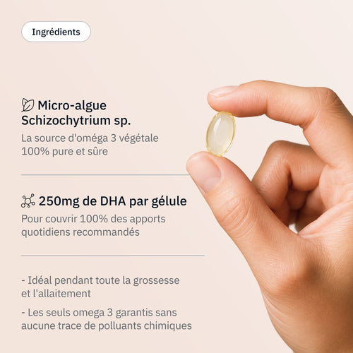 Omega 3 - Ingrédients - Hollis