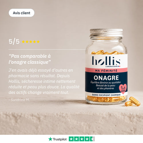 Onagre - Avis - Hollis