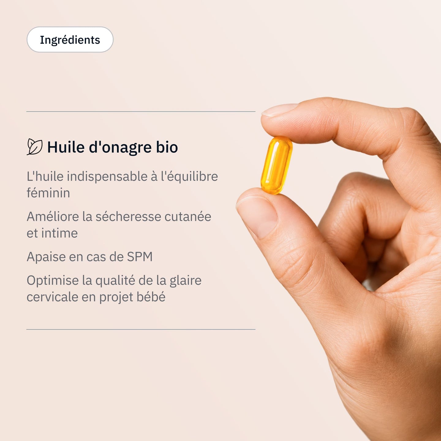 Onagre - Ingrédients - Hollis