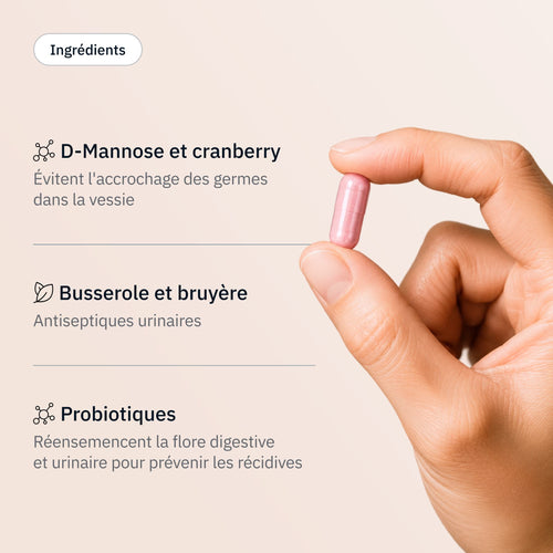 Urinaire -Ingrédients - Hollis
